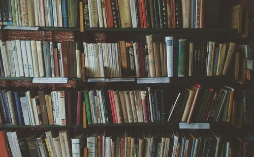 如何查询本科论文是不是被中国知网收录进