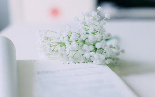 论文查重网站有哪些？应该怎么选择？