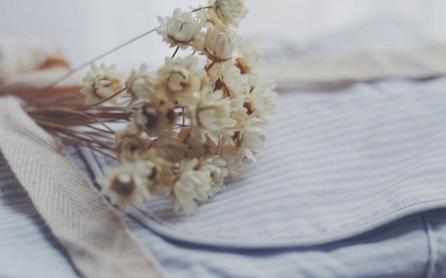 硕士论文查重标准是什么？一篇论文的合格率在多少？