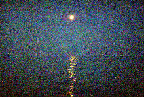 专科毕业论文严格吗？论文查重规则是什么？