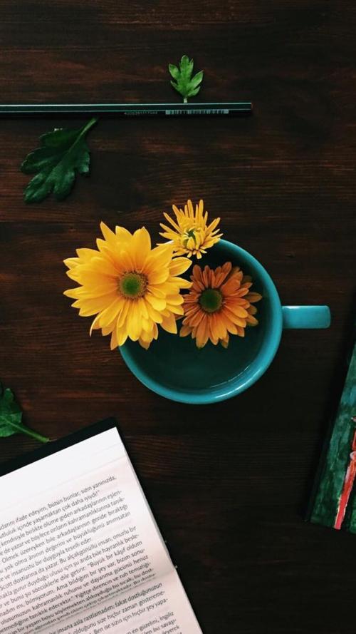 论文查重盲审与外审有什么区别？