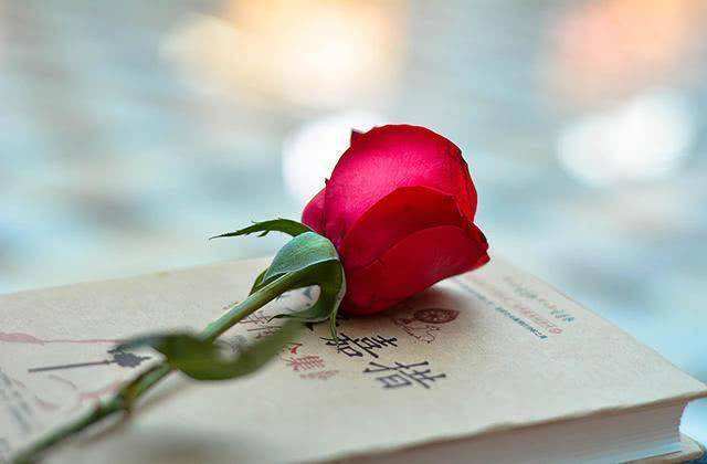 毕业论文的开题报告不知道怎么写?