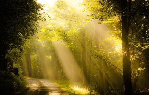 知网pmlc系统是什么?和其他系统有什么不一样吗?