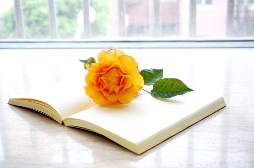 论文查重系统是如何鉴别抄袭率的