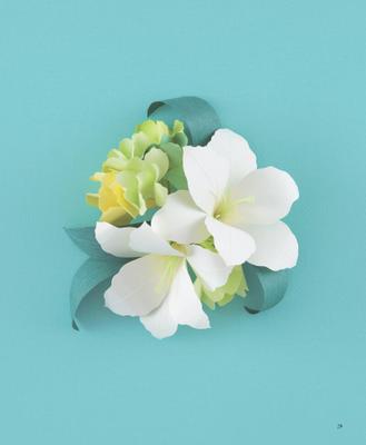 学位论文和毕业论文的区别