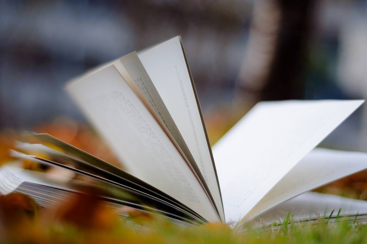 万方论文查重会不会查目录？