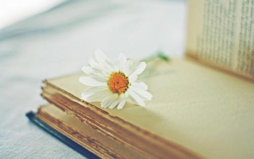 知网查重系统和维普系统哪个更严，有什么区别？