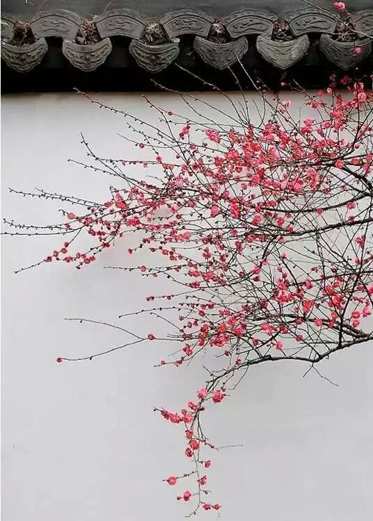 PDF版本为何比Word格式的论文知网查重结果高？