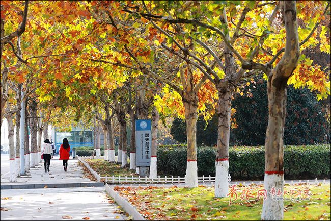 清华同方知网查重常识你知多少?